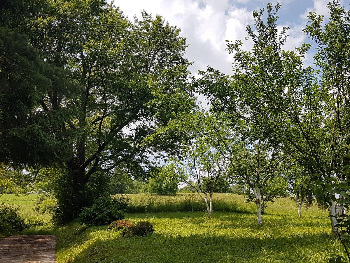 House Petra Apartman Rakovica Kültér fotó